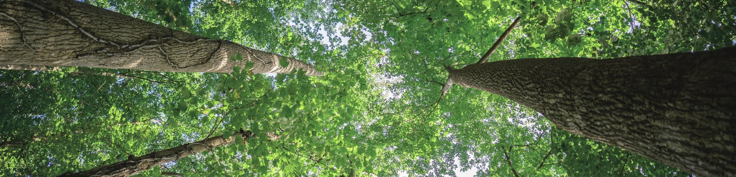 7790必发集团(中国)有限公司-BinG百科