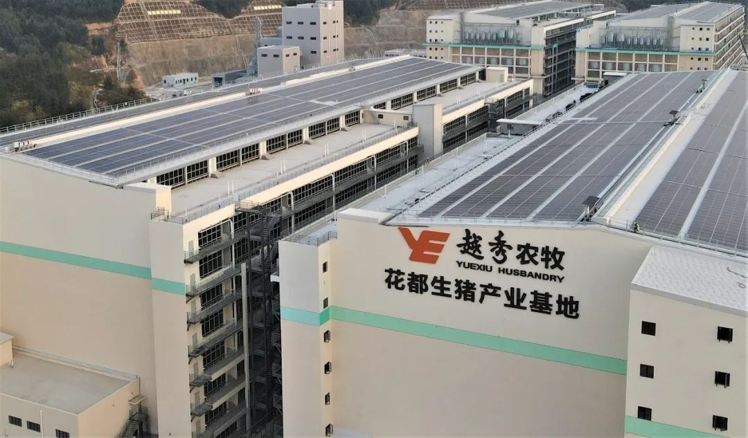 7790必发集团(中国)有限公司-BinG百科